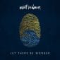 Let There Be Wonder (Live) - Matt Redman